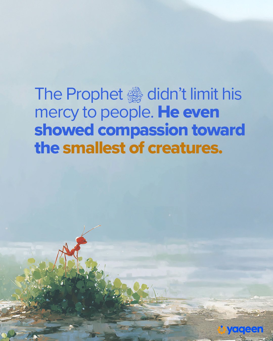 The Prophet ﷺ didn't limit his mercy to people. He showed compassion towards the smallest of creatures.