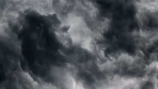 Untitled design (8)