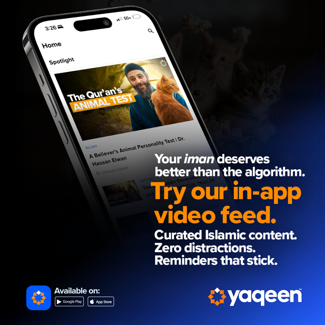 V4_Journey_10kittens_SQ_02